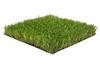 Eco-Lawn40